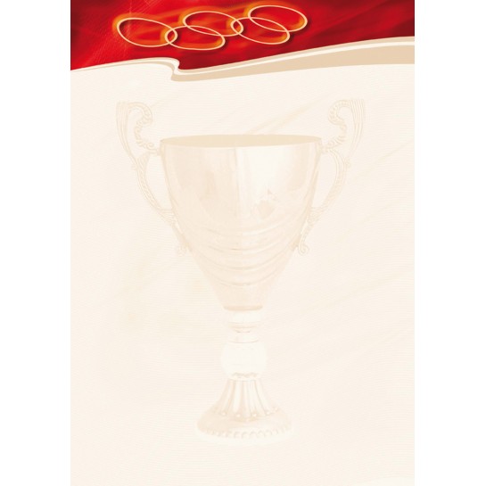 Popierius diplomams A4 170g 25l SPORT N