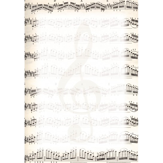 Popierius diplomams A4 170g 25l NUTY