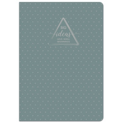 Knyga A4 96lap 70g lang SILVER