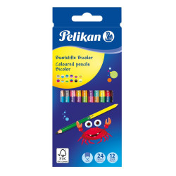Pieštukai spalvoti 12/24sp