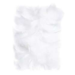 Plunksnos 5-12cm 10g, baltos