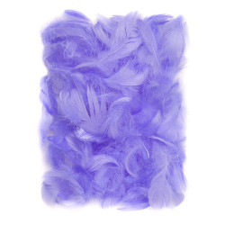 Plunksnos 5-12cm 10g,...
