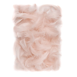 Plunksnos 5-12cm 10g,...