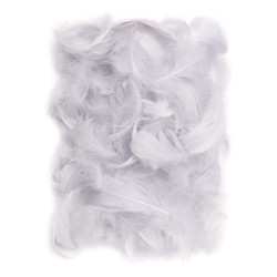 Plunksnos 5-12cm 10g,...