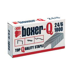 Sąsagėlės 24/6 Boxer Ico