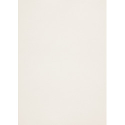 Popier.A4 CM 120g.Cryogen...