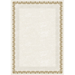Dipl.popierius 170g Arkady Z