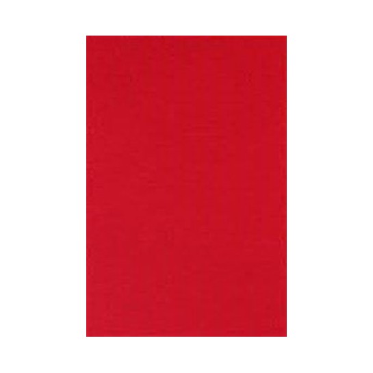 Spalvotas kartonas A1/160g raudonas