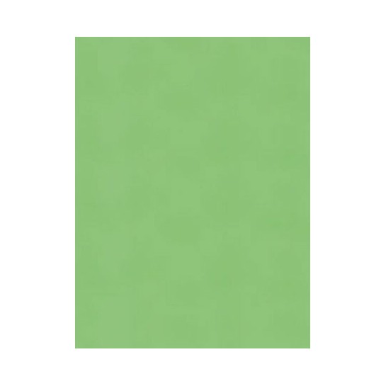Spalvotas kartonas A1/160g šv.žalias