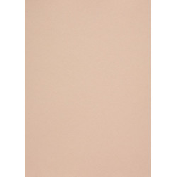 Popier.A4 CM 120g. Nude 408158