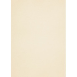 Popier.A4 CM 120g.White...