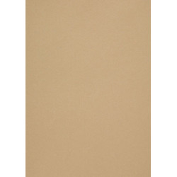Popier.A4 CM 120g.Gold Leaf...