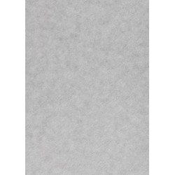 Popier.A4 CA120g. Silver...