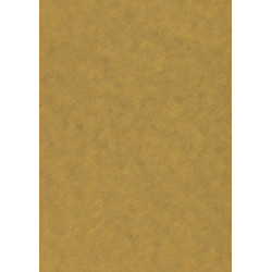 Popier.A4 CA120g. Gold 408317