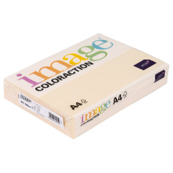 Spalv.popierius A4 160g IC...