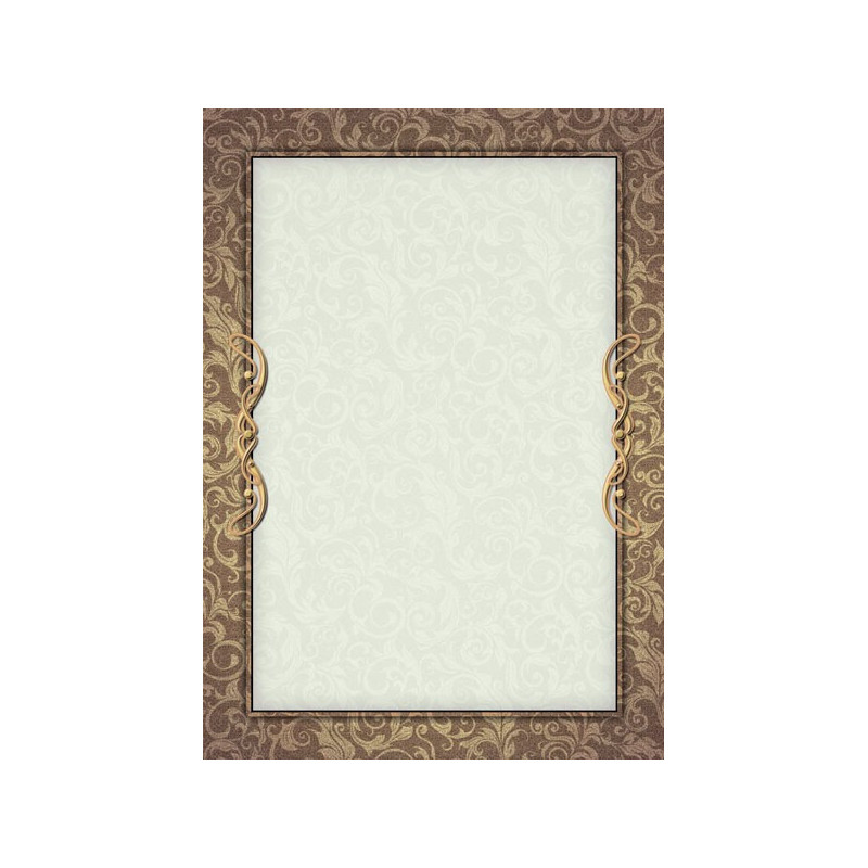 Dipl.popierius 170g Arras B