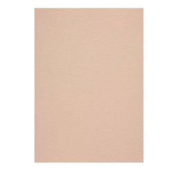 Popier.A4 CM 120g. Nude 408158