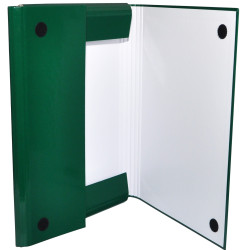 Aplankas su lipukais A4 40mm žalias