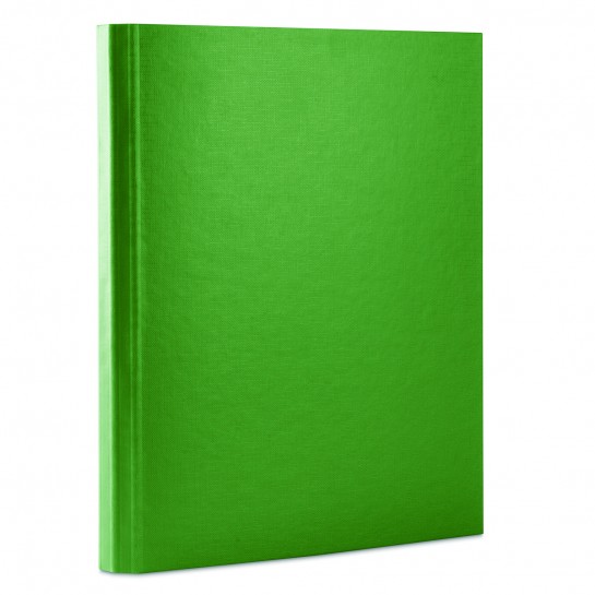 Aplankas su lipukais A4 40mm žalias