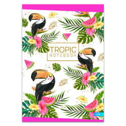 Sąsiuvinis A5 52lap 60g linija BASICgirls