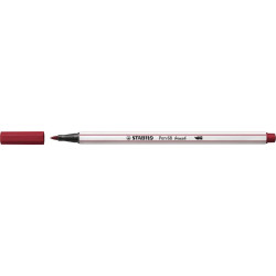 Teptukinis flomasteris PEN...