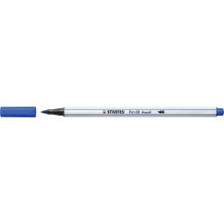Teptukinis flomasteris PEN...