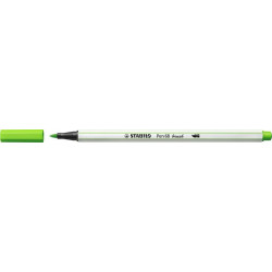 Teptukinis flomasteris PEN...