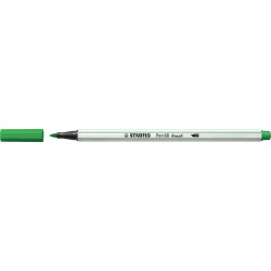 Teptukinis flomasteris PEN...