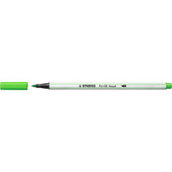 Teptukinis flomasteris PEN...