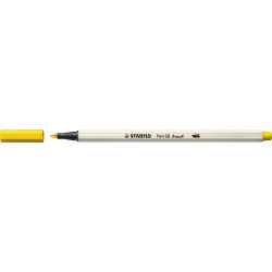 Teptukinis flomasteris PEN...