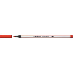Teptukinis flomasteris PEN...