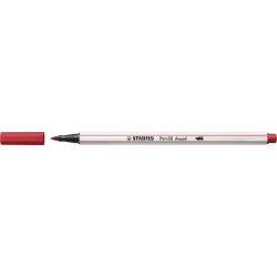 Teptukinis flomasteris PEN...