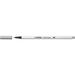 Teptukinis flomasteris PEN...