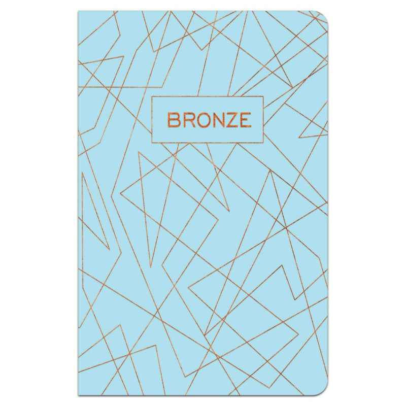 Sąsiuvinis B5 96 lapų 70g linija BRONZE