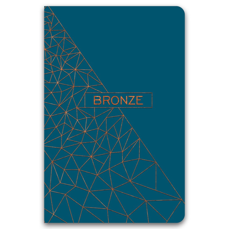 Sąsiuvinis B5 96 lapų 70g linija BRONZE
