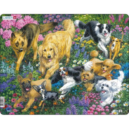 Dėlionė (puzzle) Šunys (32)