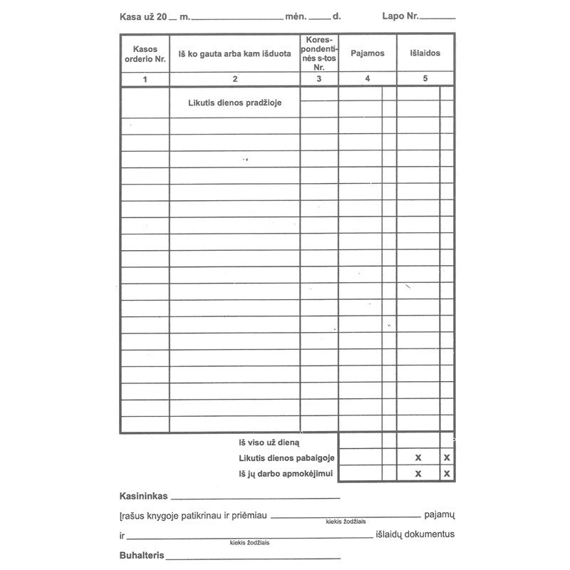 Kasos knyga savekop. A5 per dieną