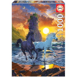 Dėlionė (puzzle) 1000 VEINARAGIAI PAPLŪDYMYJE 12-99 metų