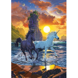Dėlionė (puzzle) 1000 VEINARAGIAI PAPLŪDYMYJE 12-99 metų Dėlionė (puzzle) 1000 VEINARAGIAI PAPLŪDYMYJE 12-99 metų