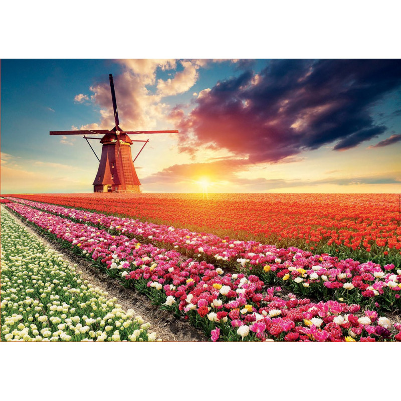 Dėlionė (puzzle)1500 TULPIŲ PEIZAŽAS 12-99 metų Dėlionė (puzzle)1500 TULPIŲ PEIZAŽAS 12-99 metų