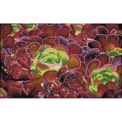 Deimantinė mozaika SUCCULENTS 32x52