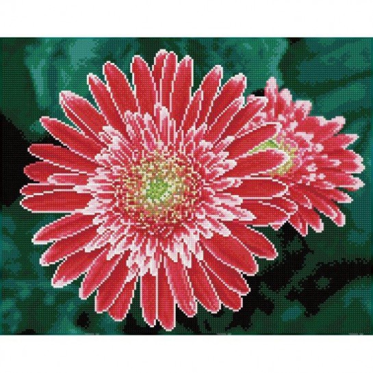 Deimantinė mozaika PINK GERBERAS 40x50