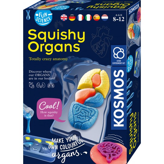 Mokomasis rinkinys SQUICHY ORGANS 8-12