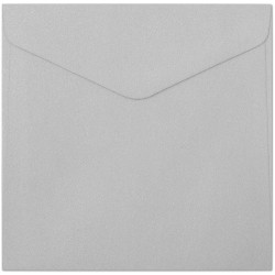 Vokai 160x160mm PEARL 150g 10vnt sidabriniai