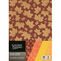 Tekstūr.kartonas MOC BARW mix 200g 20lapų