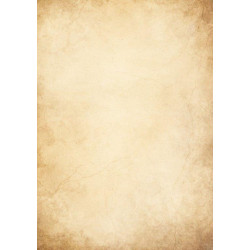 Dekoratyvinis popierius 100g/50l FLORENCJA