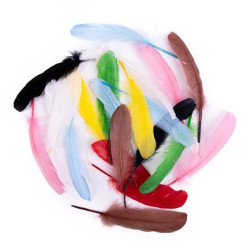 Plunksnos žąsies 16cm 20vnt mix
