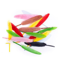 Plunksnos žąsies 13cm 20vnt mix
