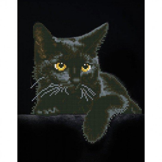 Deimantinė mozaika MIDNIGHT CAT 35,5x27,9