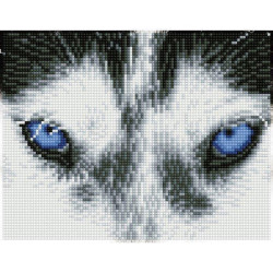 Deimantinė mozaika MYSTIC HUSKY  20,3x26